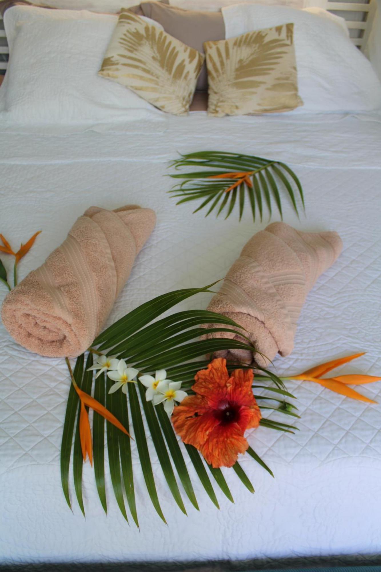 Eden Paradise Ecolodge & Spa Sainte-Luce Zimmer foto